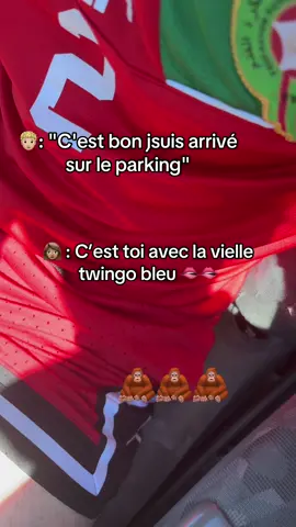 C’est bon je lache l’affaire  #story #voiture #twingo #danslatwingo #humour #singe #couple 