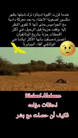 #waleedhakeem 