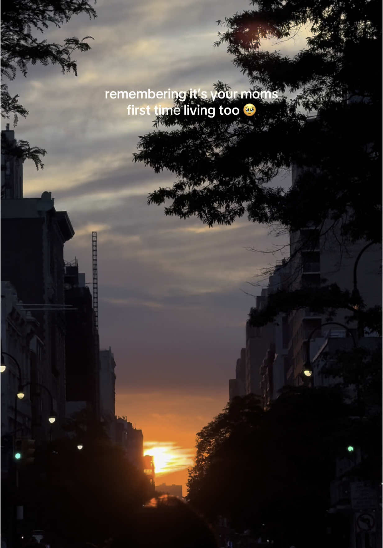 she was so excited to see the Manhattanhenge 🥹 #sunset #nyc #manhattanhenge #newyorkcity #mom 