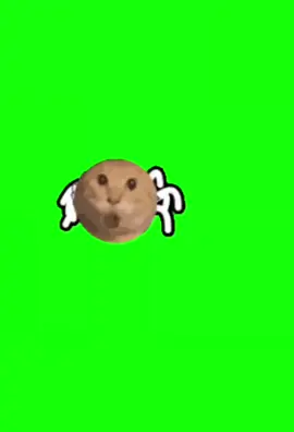Spider Cat  #meme #memes #cat #catmeme #greenscreen #fyp #fyppppppppppppppppppppppp #catsoftiktok #catlover #funny #2025