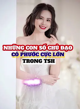 NHỮNG CON SỐ CHỦ ĐẠO CÓ PHƯỚC CỰC LỚN TRONG THẦN SỐ HỌC #sochudao  #phuoc  #thansohoc  #mastercoach  #vitus  #vuongdienhudi_tshvitus 
