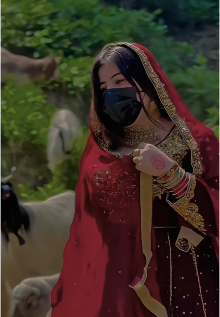 Sanga khkram🤣🙈#sweetdana #foryou #foryoupage #viralvideo 