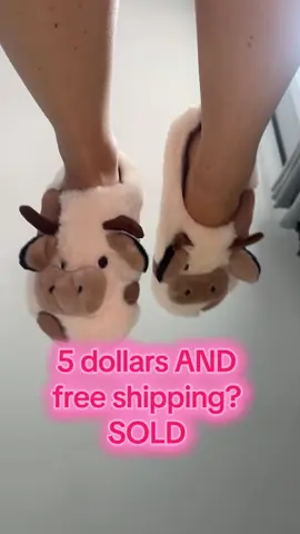 seriously the cutest softest house shoes