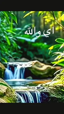 #من نم لك نم بك #كلام #كلام_في_الصميم #كلمات #InspirationByWords #كلام_من_ذهب #خواطر_للعقول_الراقية #اللهم_صلي_على_نبينا_محمد #اللهم_امين_يارب_العالمين #اكسبلوررررر #ااشعب_الصيني_ماله_حل😂😂 #اكسبلوررررر #اكسبلوررررر #اكسبلوررررر 