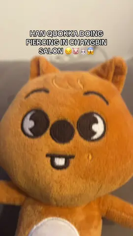 #skzoo #changbinsalon #kpopalbum #skzooplush #kpopfyp #straykids #kpop #straykids #fyp #straykidsstay #straykidscore #moots? #skz #straykidscore #staycore 