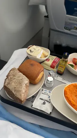 #emirates #foodies #airplanefood #egyptair #fyp #lunch #dinner 