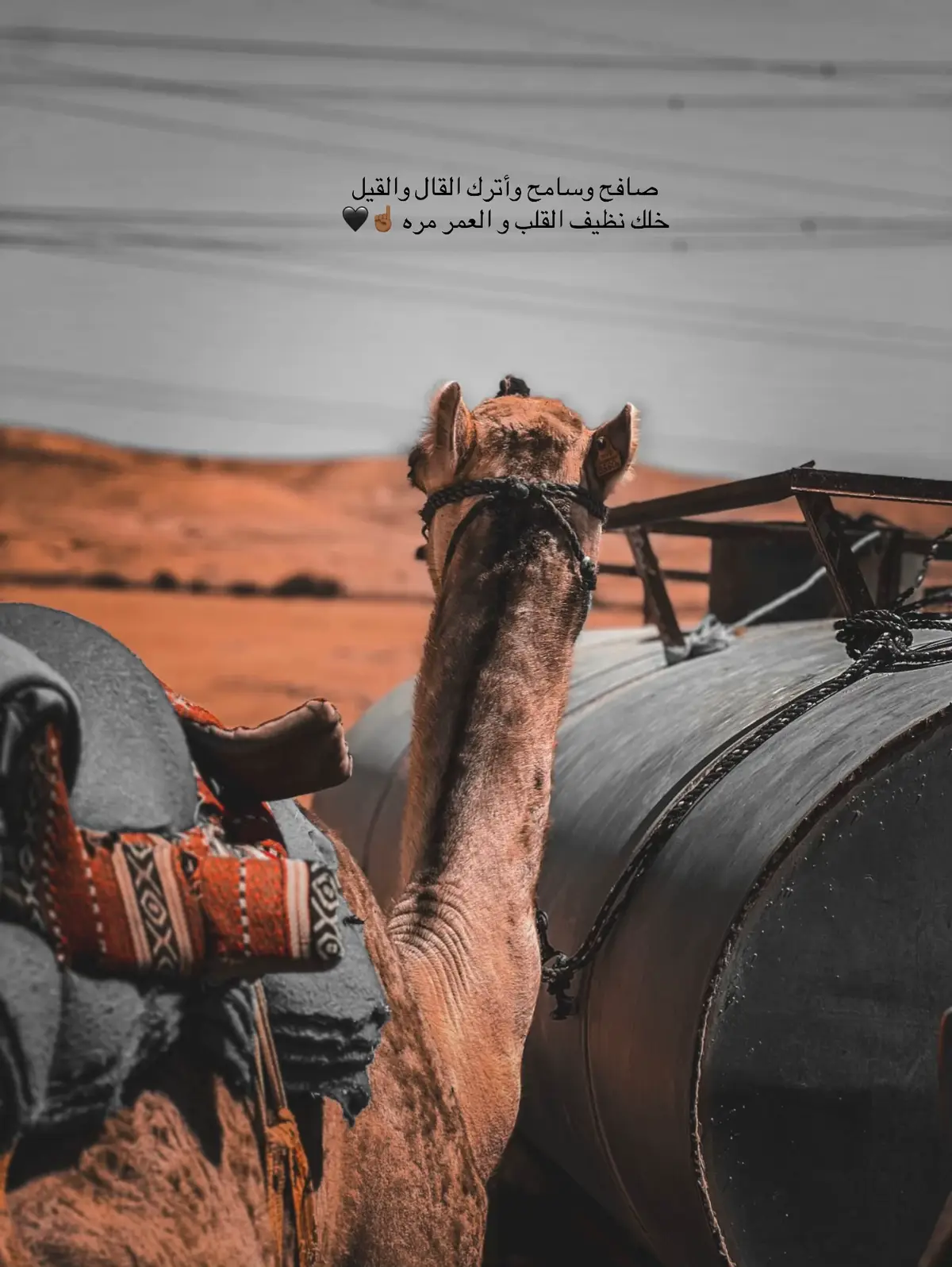 #مسيكم_عربان_التيك_توك_🌚💔 #مجرد________ذووووووق🎶🎵💞 