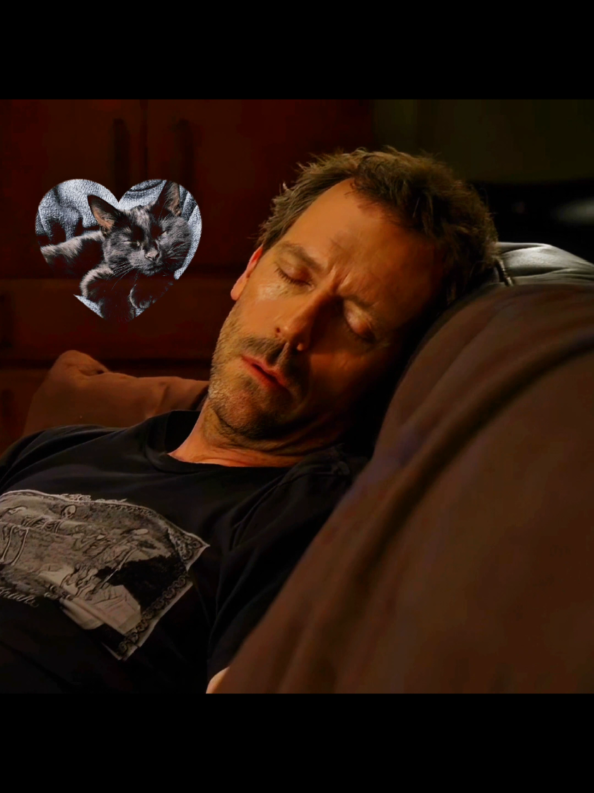 Look at my doctor dawg I'm gonna d!e|| I love that lil autistic man sm #house #housemd #housemdedit #hughlaurie #gregoryhouse #robertseanleonard #jameswilson #edit 