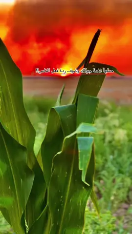 حطها نغمة جوالك وشوف ردة فعل الناس!! ##تفاعلكم_حتى_أستمر ##