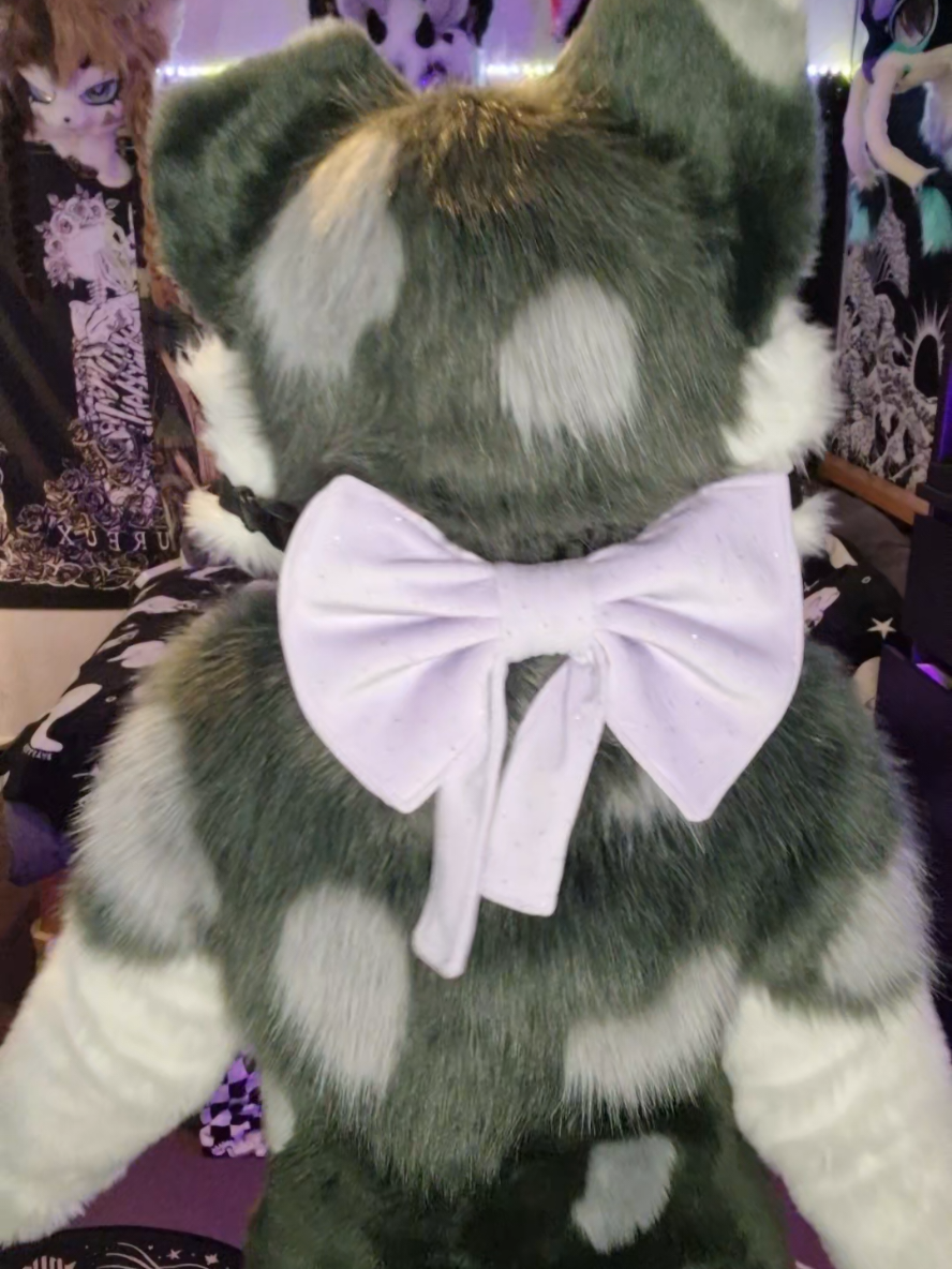 New collar from @pixiefuzzcreations on IG #baileystarpup #ukfurry #furryfandom #scottishfurry #fursuit #furrytiktok #furry #puppyfursuit #puppy 