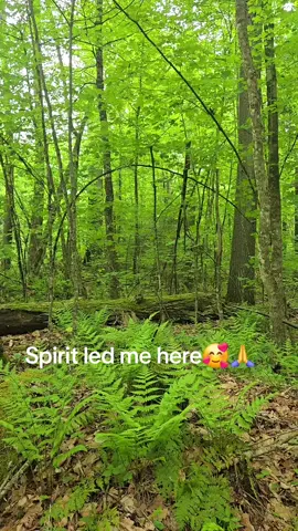 #fyp 
