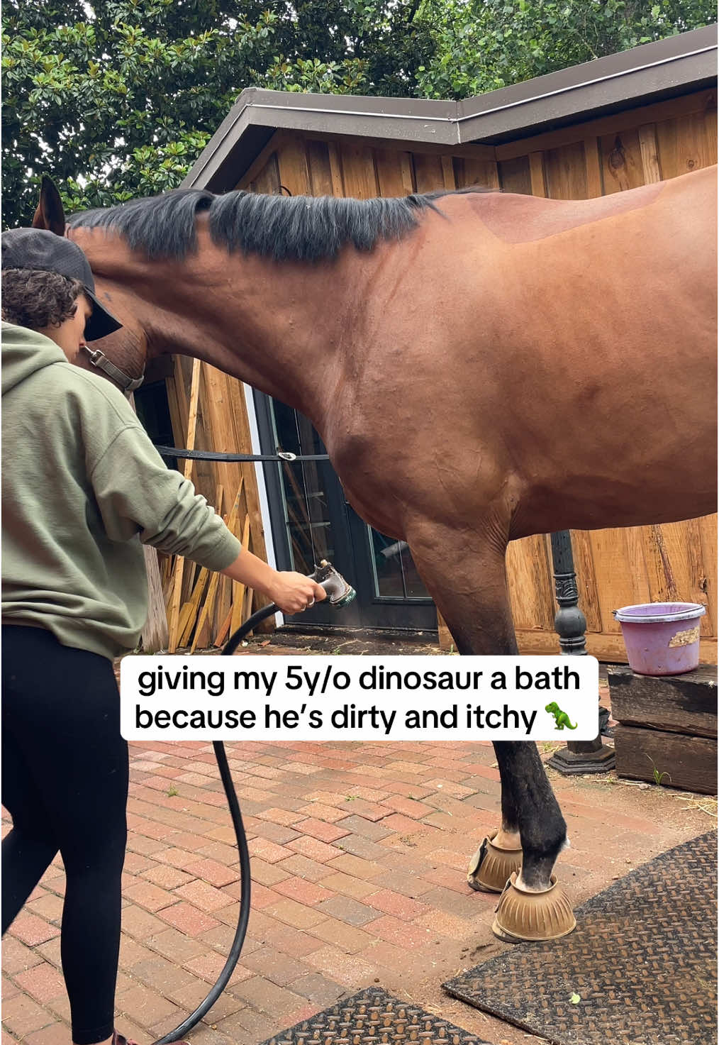 love when he’s cleannn  #fup #horse #horses #fypシ #fypシ゚viral #fyppppppppppppppppppppppp #equestrian #horserider #viral #viraltiktok #equestrianlife #horselife #horsesoftiktokforyoupage #fypシ゚ #fyppppp #virall #horsegirl 