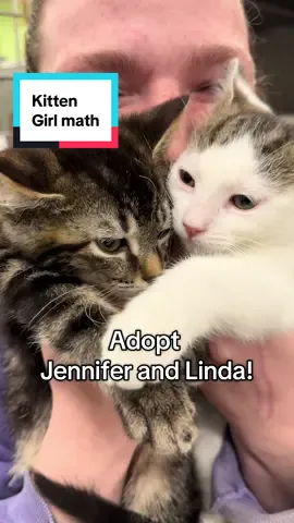 1 kitten- $100 2 kitten- $100 dollars. So Adopting two kittens is cheaper than adopting one! Girl math. #adoptdontshop #girlmath #kittensoftiktok #kitten #animalshelter 
