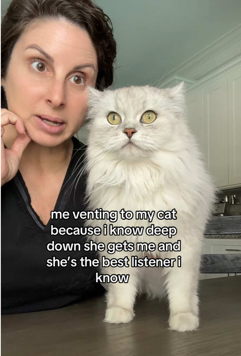 & fr she doesn’t judge #catsoftiktok #fyp #cat #trending #cattok 