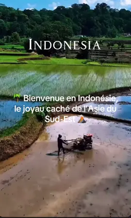 Entre rizières infinies, volcans majestueux, plages de rêve et temples mystiques… Chaque île raconte une histoire. #I#IndonesieV#VoyageAsieB#BaliA#AventureTropicaleR#RizièresT#TemplesIndonésiensV#VoyageSoloB#BudgetTravelE#ExploreLeMondeD#DestinationsDeRêveP#PlagesParfaitesVoyagerPasCher