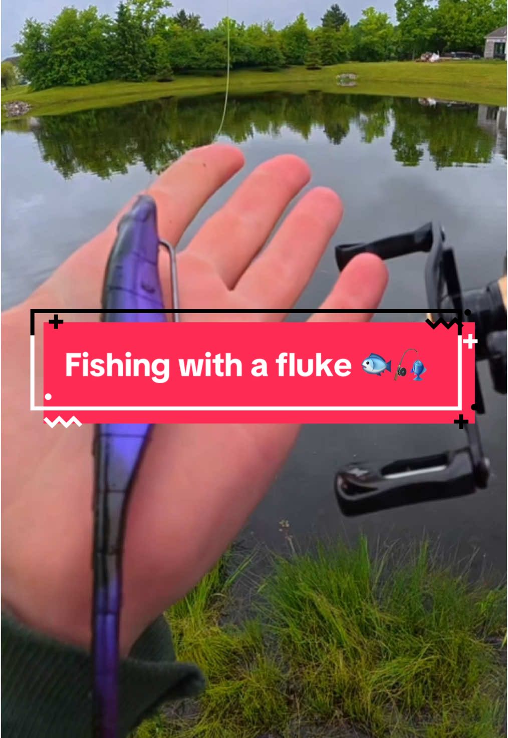 I Fished for Giants 🐟🎣 #fishing #fishingvideos #capcut 
