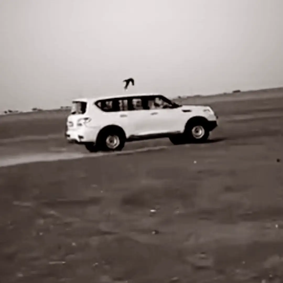 لو القلب ماله من حنيّ الضلوع لباس  ‏بدت علته فالحال لمدوّر العله ‏فلا ترتهب يوم اللقا من صليل الفاس  ‏اذا ماوقع في الراس ماشقاك صوتً له ‏تقدم ولا تنكف والأنفس لها حباس ‏ولا مات عبد عاد في الارض رزقً له. #iykyk #explore #e #kkkkkkk 