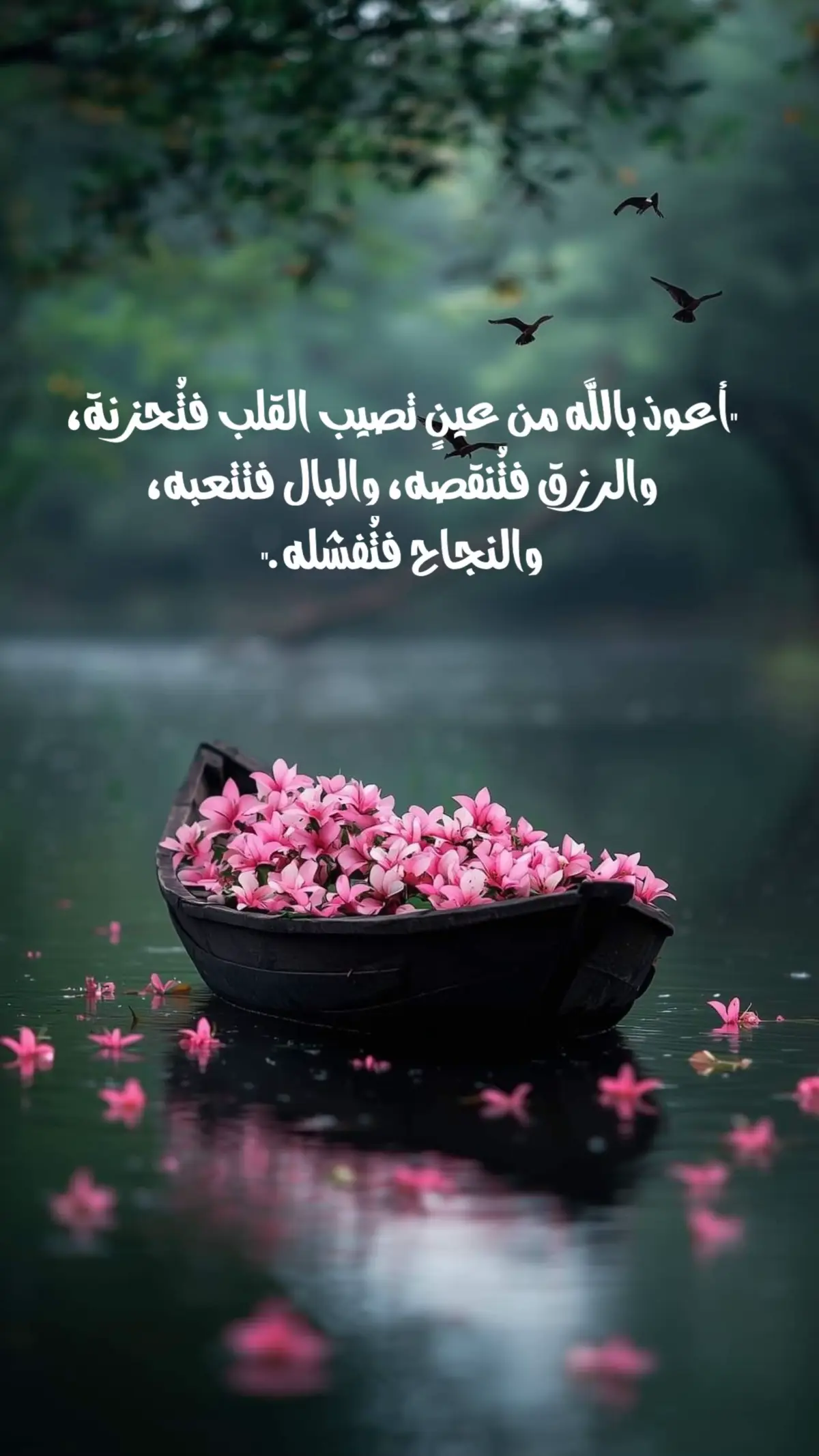 #عبارات #قتباسات #اكسبلور 