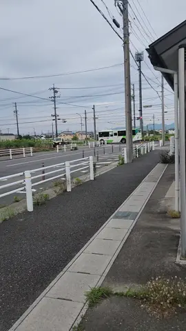 Japan's View! Help me reach 13 followers please. #scenery #videoviral #cute #aesthetic #viral #fyp #japan #japanlife #photography #trending 