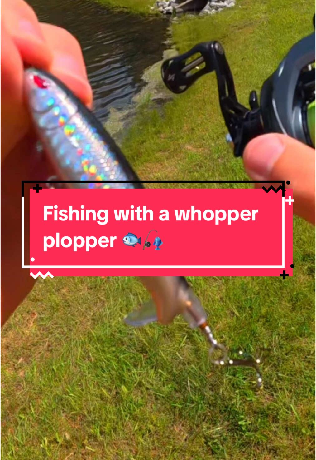 I Fished for Aggressive Fish 🐟🎣 #fishing #fishingvideos #capcut 