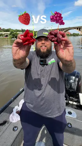Strawberry jello vs grape jello chicken gizzards which 1 will win ??? 🏆 