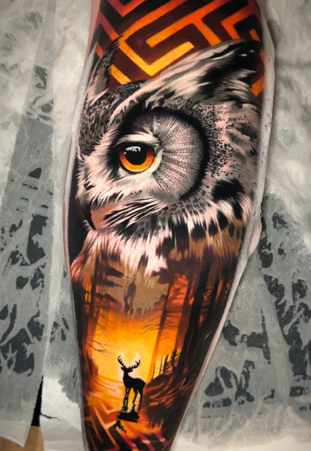 🦉🦉🦉 #colourtattoo #uktattoo #owl #owltattoo #exeter 