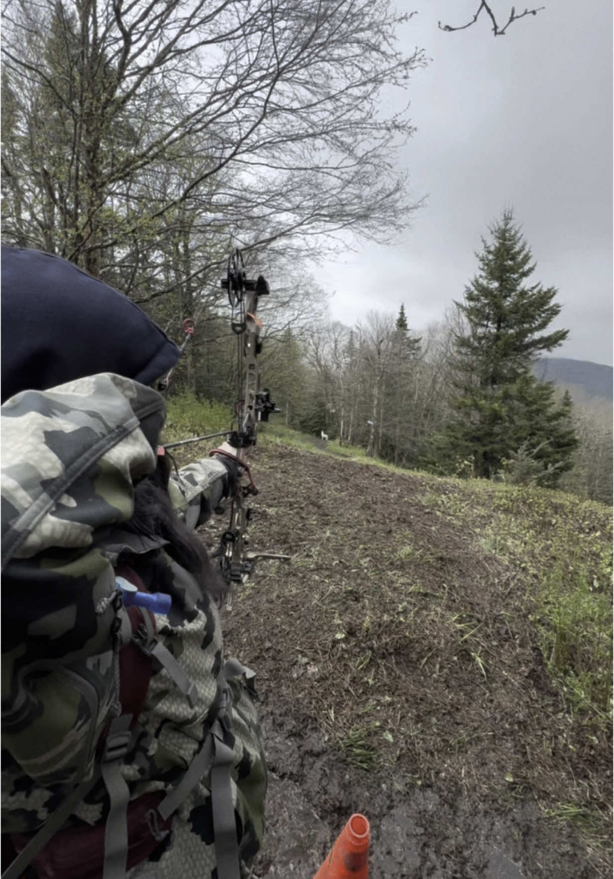my favorite target at #tac was the howling white wolf 🐺 #totalarcherychallenge #tacvermont #tac #tac2025 #taliahazard #missmathews #shewolf #wolf #archerytok 
