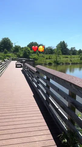 ✨