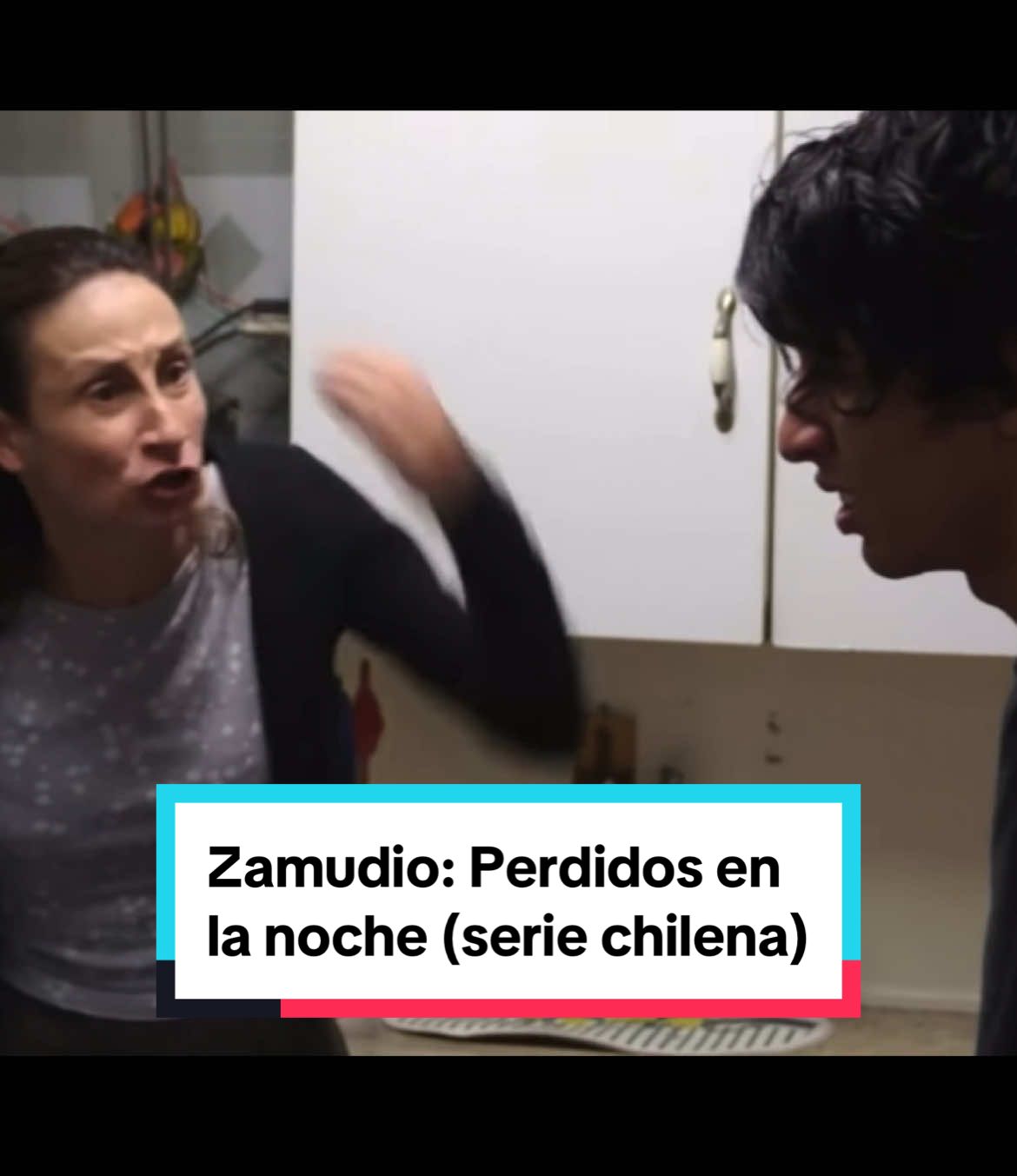 “Zamudio: Perdidos en la noche” (2015). Una miniserie impactante que se contextualiza en un hecho que marcó s todo un país. Disponible en Youtube  #chile #seriechilena #cinechileno #series #actuacion #zamudio #danielzamudio 