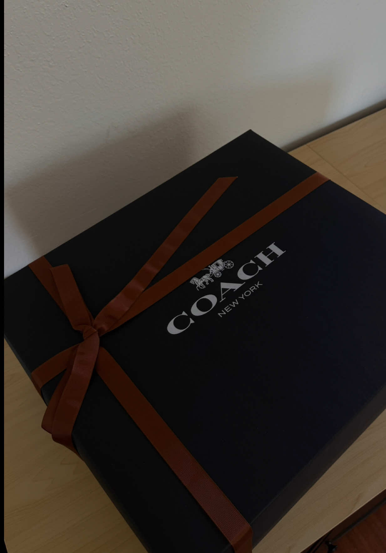 after a while of dreaming of owning this bag, it’s mine 🍒  @Coach #coach #coachny #coachbags #coachbag #unboxing #unboxingvideo #pursetok #coachgirl #coachspring25 #coachlana 
