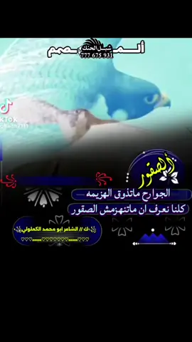 #الصقور_الجوارح_ماتذوق_الهزيمه #ك// #الشاعر_ابومحمد_الكعلولي #فخامه_المصمم_شبل_الحنك #لايك_متابعه_اكسبلور  #الشعب_الصيني_ماله_حل😂✌️ 