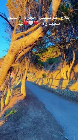 #plagegounini #hadjratenous #tipaza42 #plagevacances #tik #صيف #الشعب_الصيني_ماله_حل😂😂 #الطبيعه_اجمل_شي_للراحه_النفسيه #tipaza #plage 