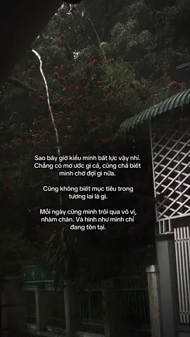 …#cuocsong #tamtrang #nhachaymoingay #phanrang  
