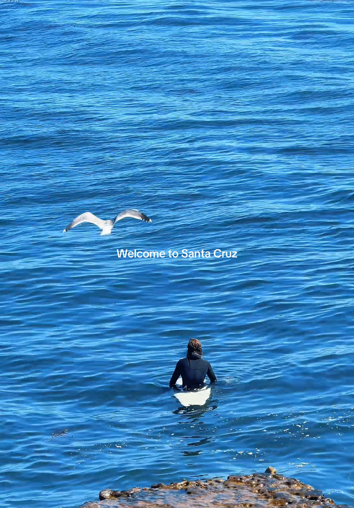 I love coming home #tiktok #contentcreator #fyp #santacruz 