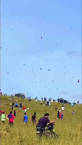 #kite #kites #kiteslovere #trending #virl 