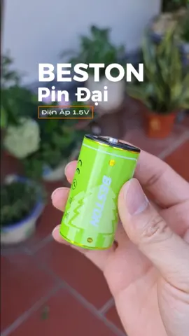 Pin Đại BESTON điện áp 1.5V #pin #pindai #pindungluongcao #dientutienich 