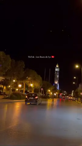 قولي واش اللي تريدي ...❤️ #مزود  #مزود_تونسي  #mohamed_ramzi #tunisia🇹🇳  #fyp #تونس #foryoupage #تونس_المغرب_الجزائر 