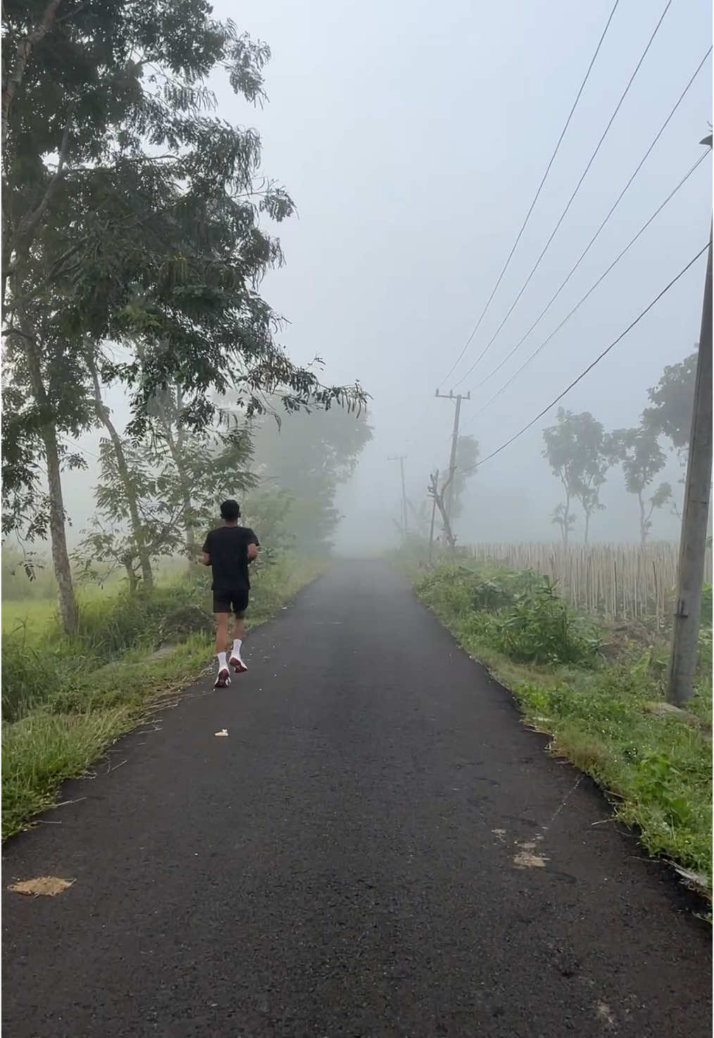 Lari pagi ditemani kabut dan hamparan sawah, tenang jiwa, segar raga  #lari  #jogging #jalanjalan #pedesaan #persawahan #kabut #paseyan #karangasem #karangtengah #jatirogo #tuban #wisatatuban #tuban24jam #fyp #lewatberanda #trending #viral #fyppppppppppppppppppppppp 