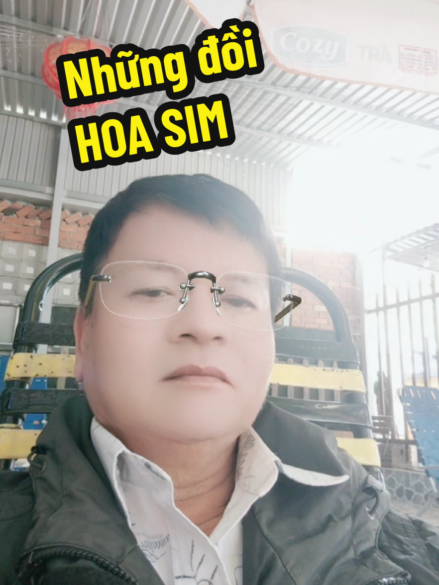 NHỮNG ĐỒI HOA SIM