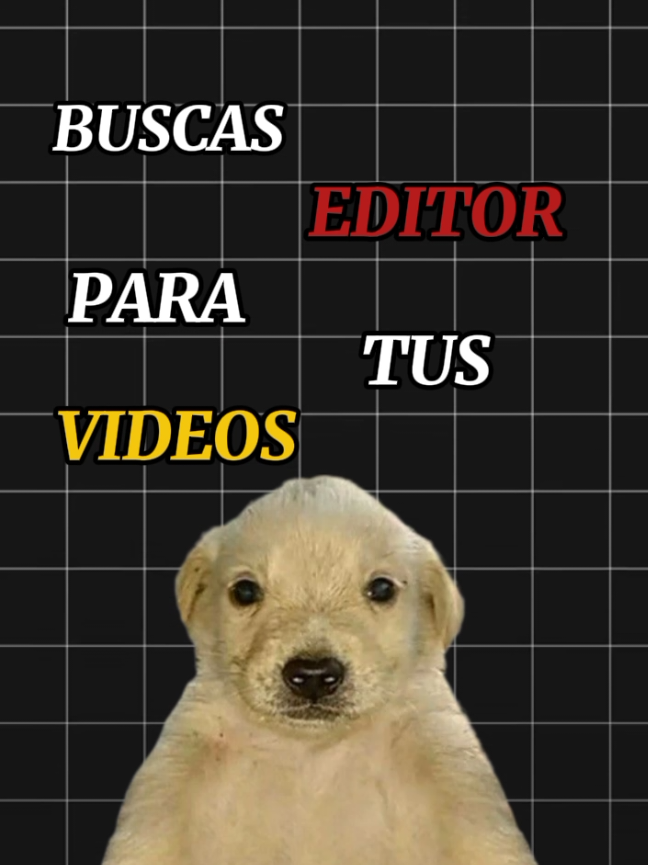 Servicio de edicion de videos📷|Gecko #editing #Edit #videosdinamicos #editordevideos #editordevideos #premierpro #editme 