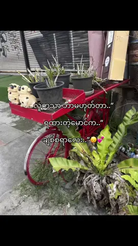 ချစ်စရာလေး..”💞#foryoupage #fouryoupage #fpypage #fpy_tiktok_viral #fouryou #fpy_tiktok_viral #fouryoupage #fpyyyyyyyyyyyyyyyyyyyyyy 