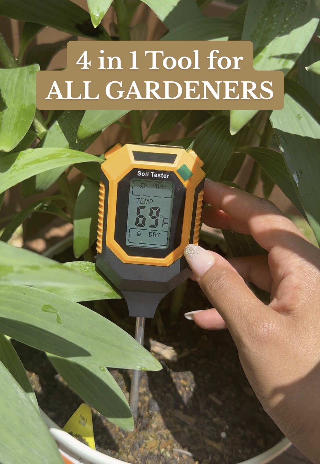 No need to be guessing now! #garden #backyardgarden #gardener #gardentok #gardentools #gardentips #gardening101 
