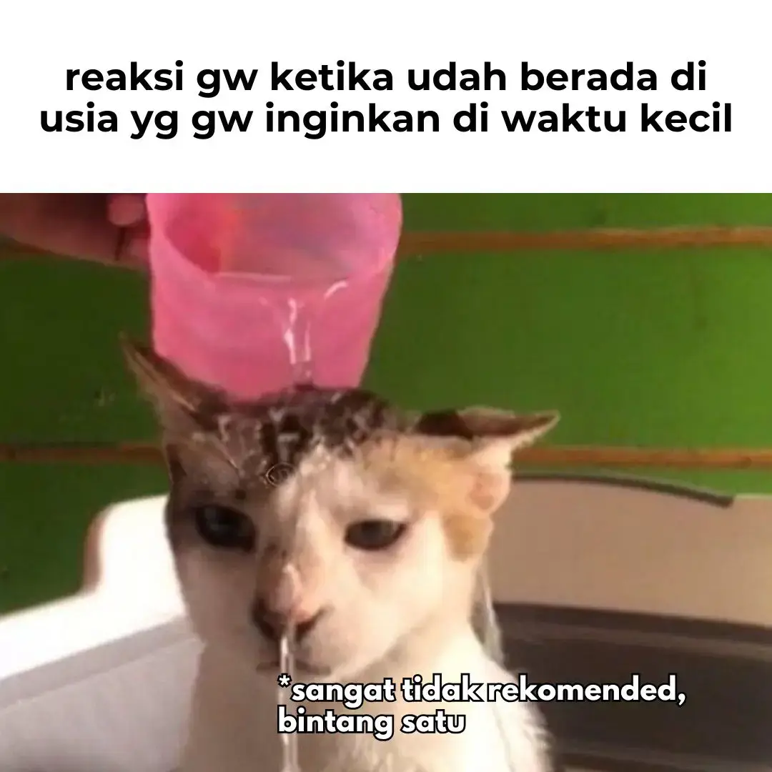 Sangat tidak direkomendasikan untuk pemula #fyp #foryoupage #meme #cat #realitahidup 