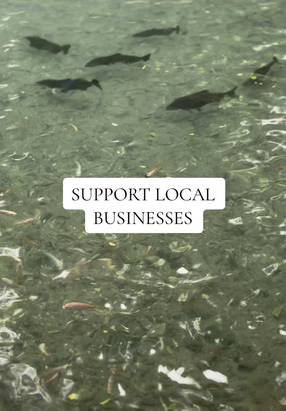 Alasan kamu traveling untuk apa? ☺️ By the way, muka si ibu dan warungnya sengaja ngga aku up ya, disini beliau ngga jual cerita sedih ke aku kok, memang aku yang merasa prihatin dengan kondisi tempat2 wisata yang sekarang banyak yang sepi. Support usaha2 kecil disekitarmu yuk ❤️ #travel #jalanjalan #holiday #serunyaliburan #vacation #mataair #liburan #supportlocal #umkm 