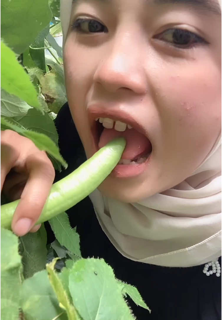 Makan buah terong tak sedapppp laaa🤮🤮#random#petualangan#oranggilamahbebas#mekar