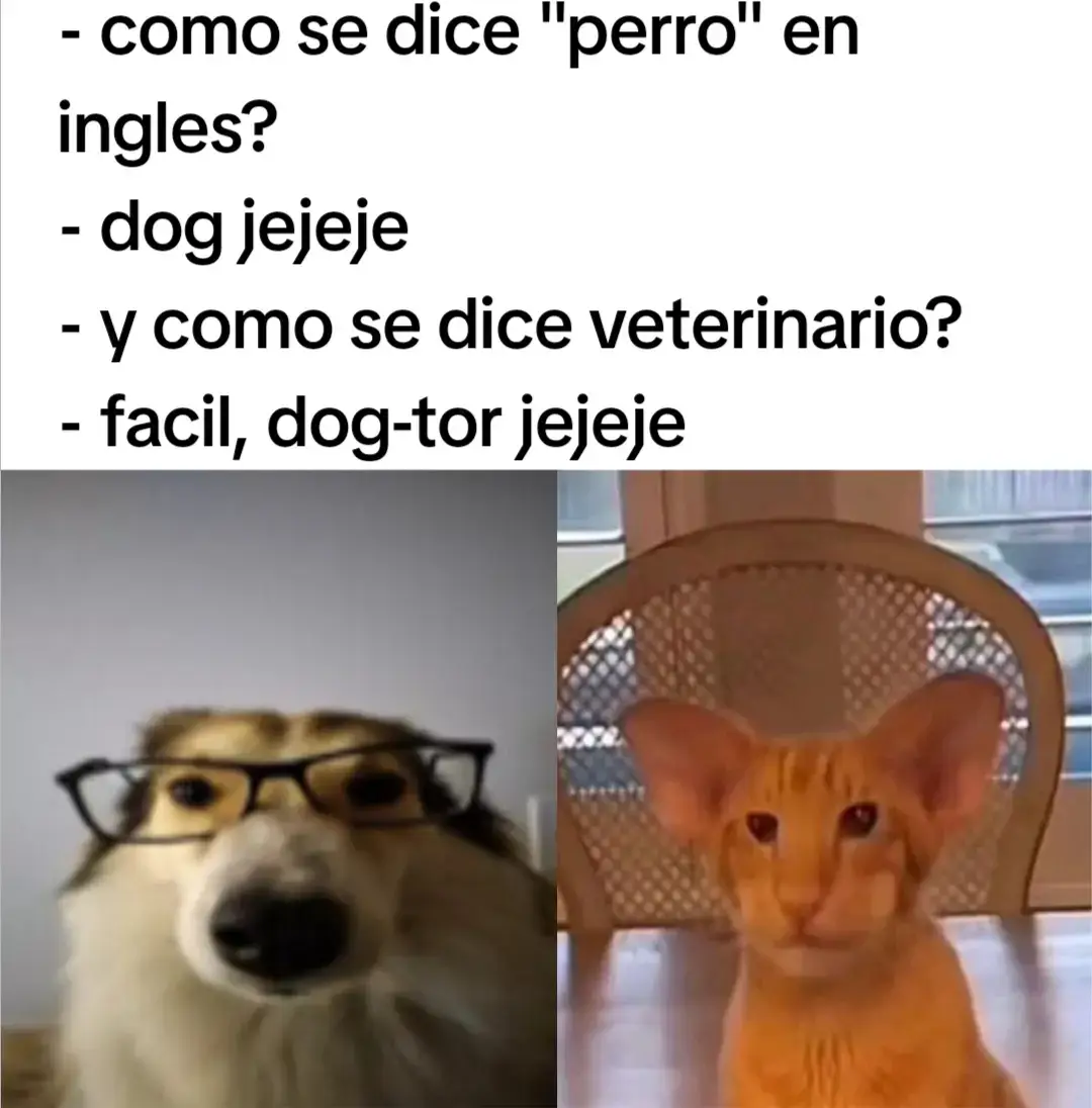#kuierezerminobia #xbyzca #xdd #fyp 