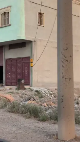 عدالةُ الارضْ مذْ خلقتْ مزيفةُ والعدلُ في الارضِ لاعدلٌ ولا ذممُ والخيرُ حَملٌ وديعٌ طيبٌ قَلِقٌ والشرُ ذئبٌ خبيثٌ ماكرٌ نَهمُ كل السكاكينْ صوبُ الشاةِ راكضةٌٌ لِتطُمئنُ الذئبَ ان الشملَ ملتئمُ كنْ ذا دهاءٍ وكنْ لصاً بغيرِ يدٍ ترى الملذاتِ تحتَ يديكَ تزدحمُ#الرقة_مدينتي #سوريا🇸🇾 