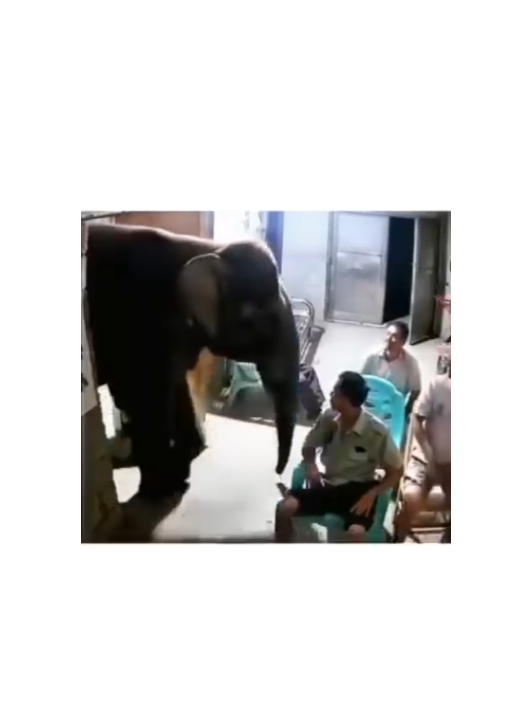 ආ උබලා Tv බලනවද 🙂🤣💔 #polonnaruwa #meme #athalvideo #funny #trending #viral #viralvideo #tiktok #foryou 