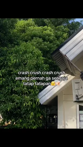 #galaubrutal 