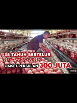 Kun fayakun 🤲✨ #peternakmuda #ayampetelur #peternakzilenial #suksesmuda #fyp #bosmuda 